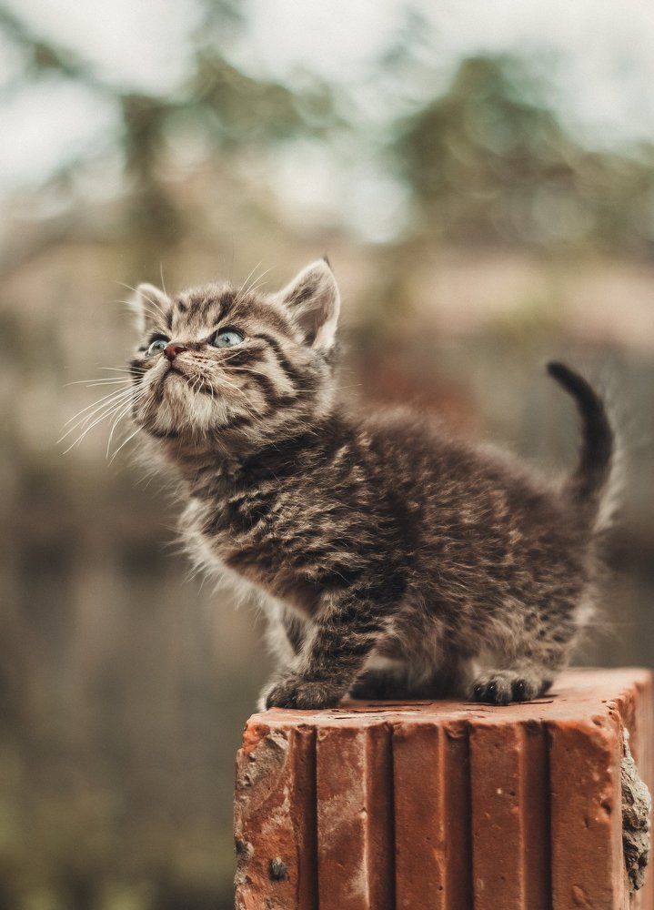 Познаю мир.