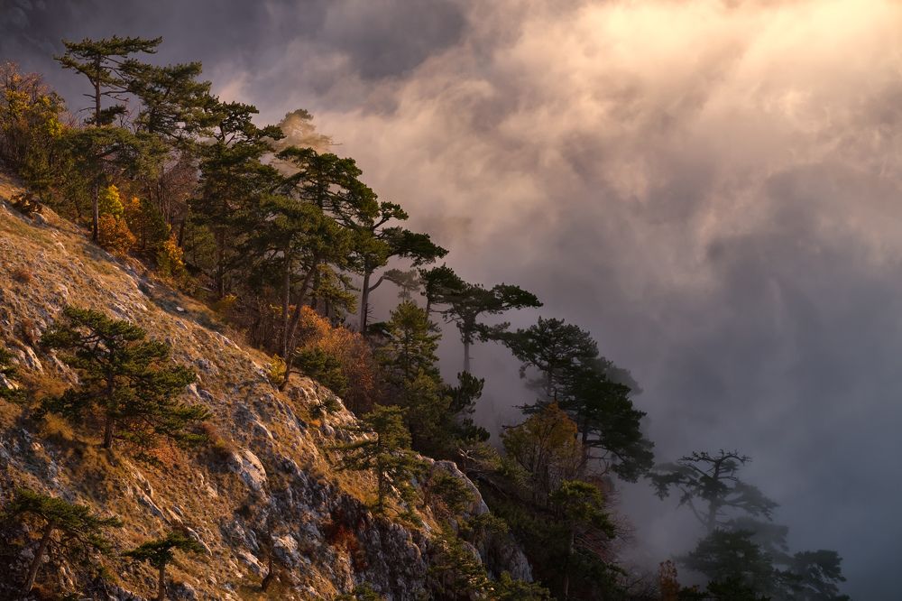 Туманное утро на Ай-Петри