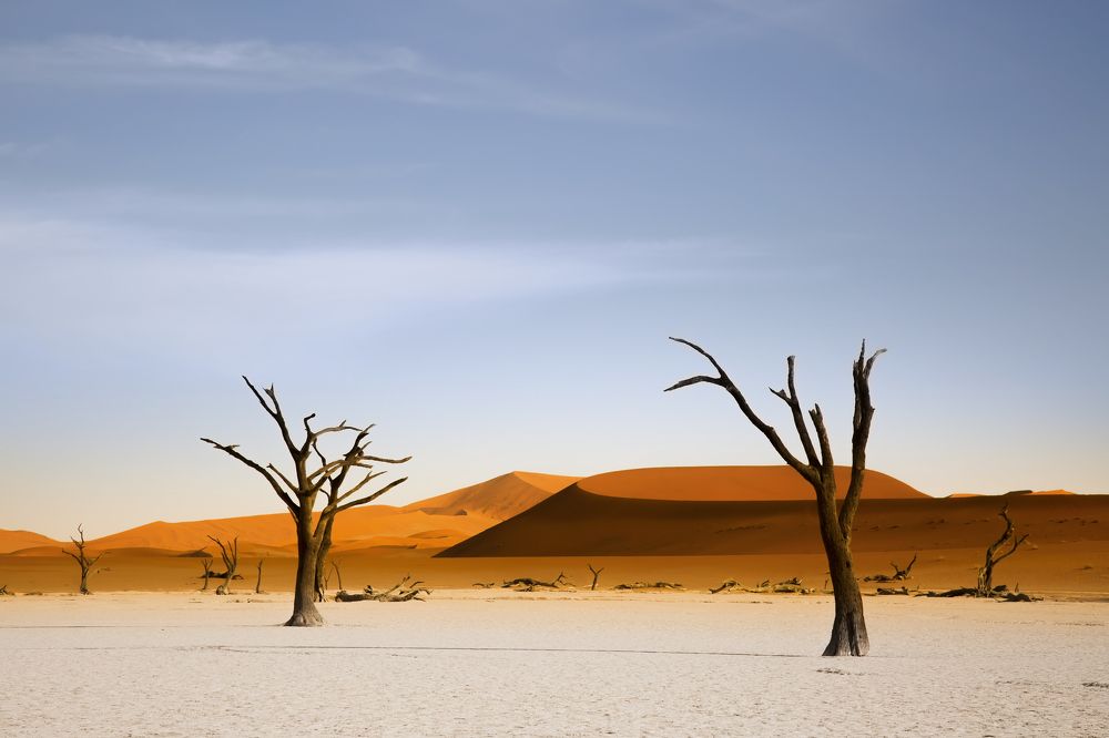 Dead Vlei with red dunes at backgroud