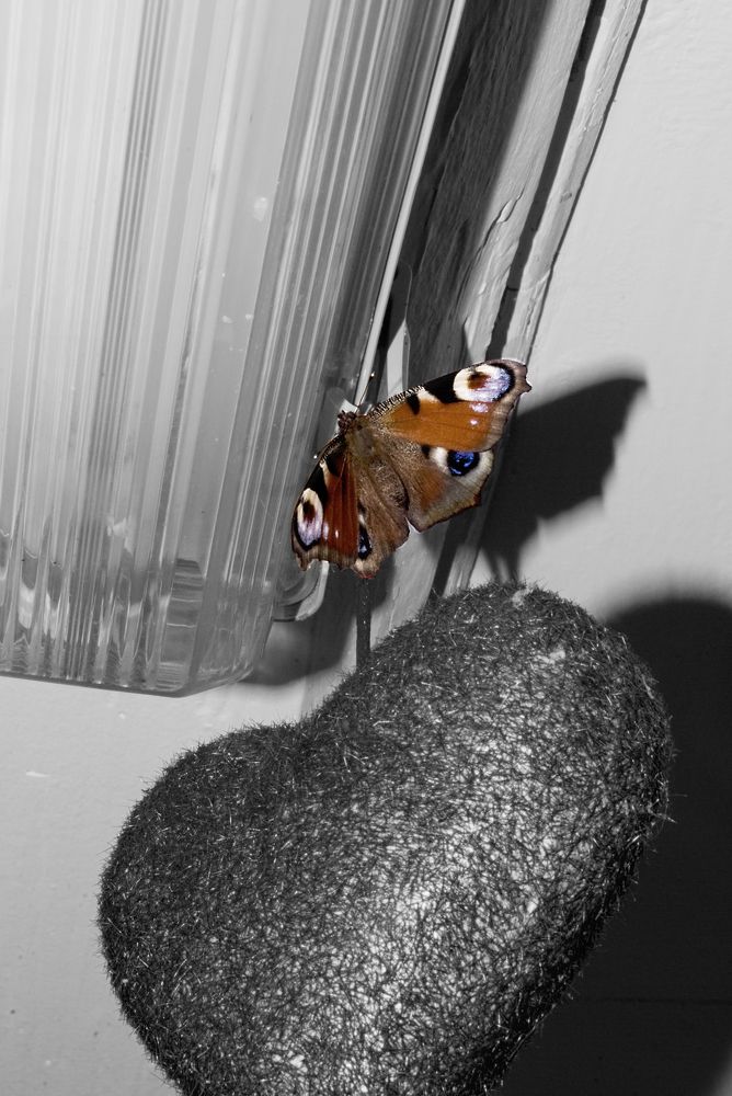 Так хочется жить...