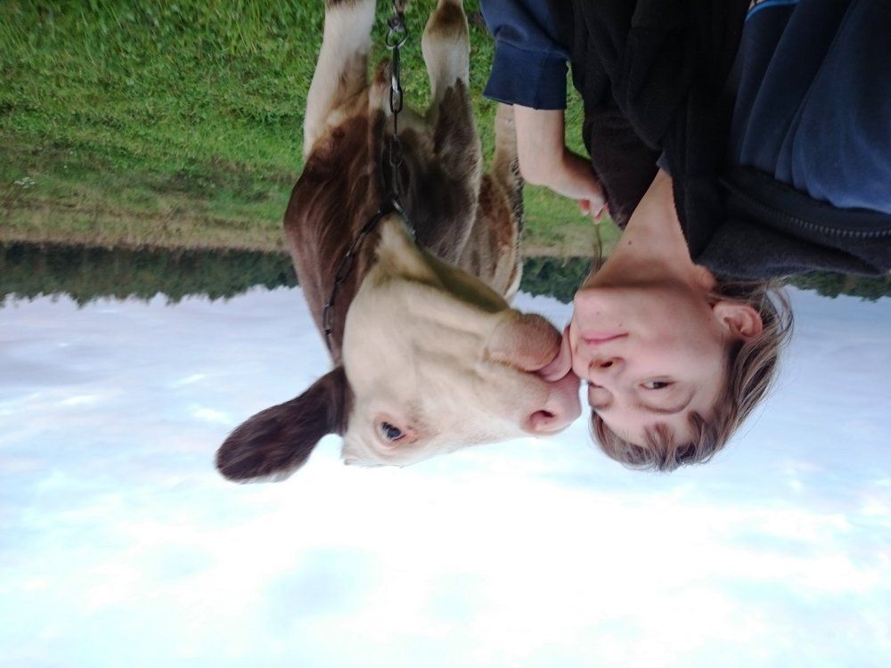 Мой ласковый и нежный зверь