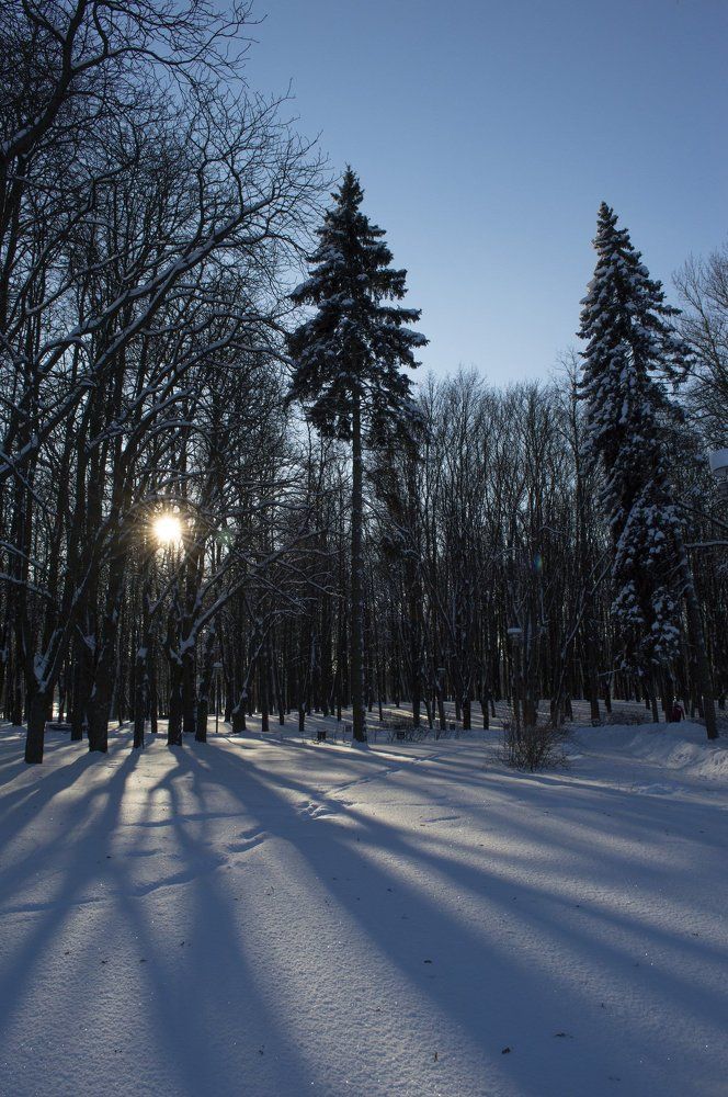 Морозный вечерок.