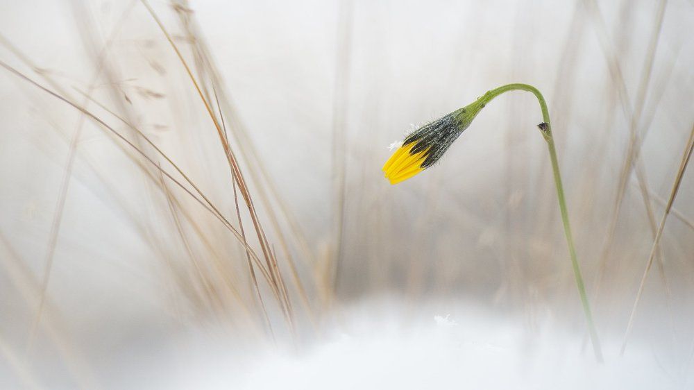 Гость из будущего