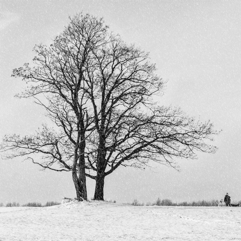 Photograph by Карина Воробьева