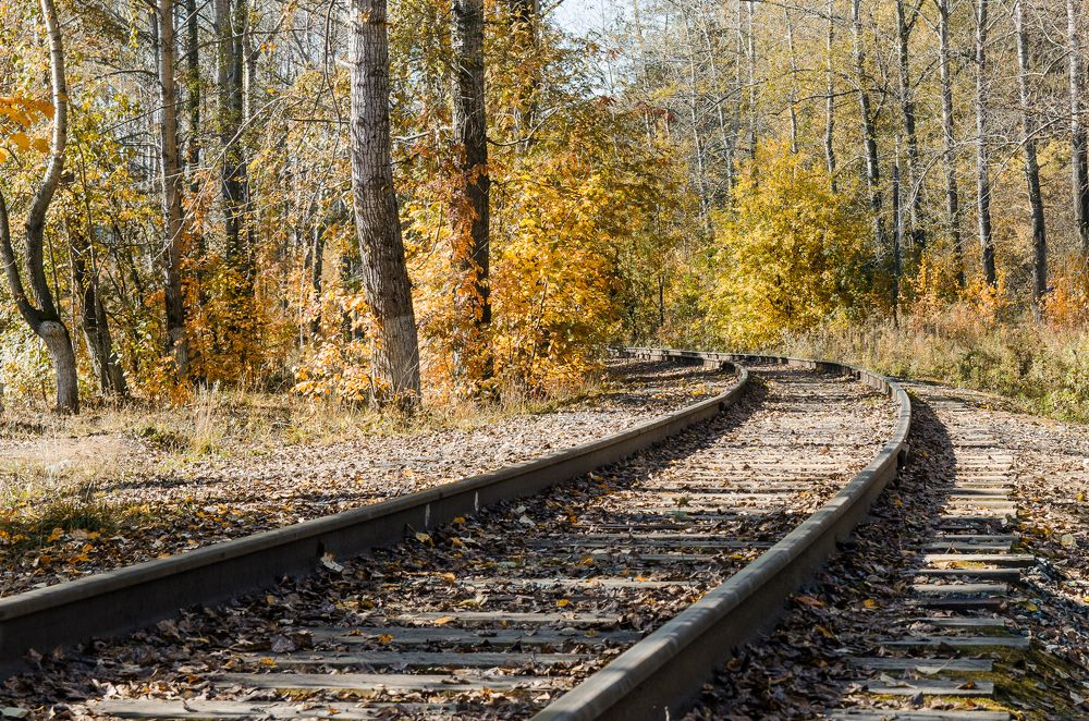 Дорога в осень