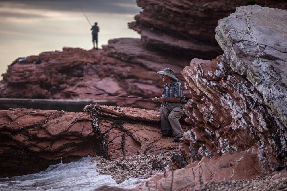 Рыбный день