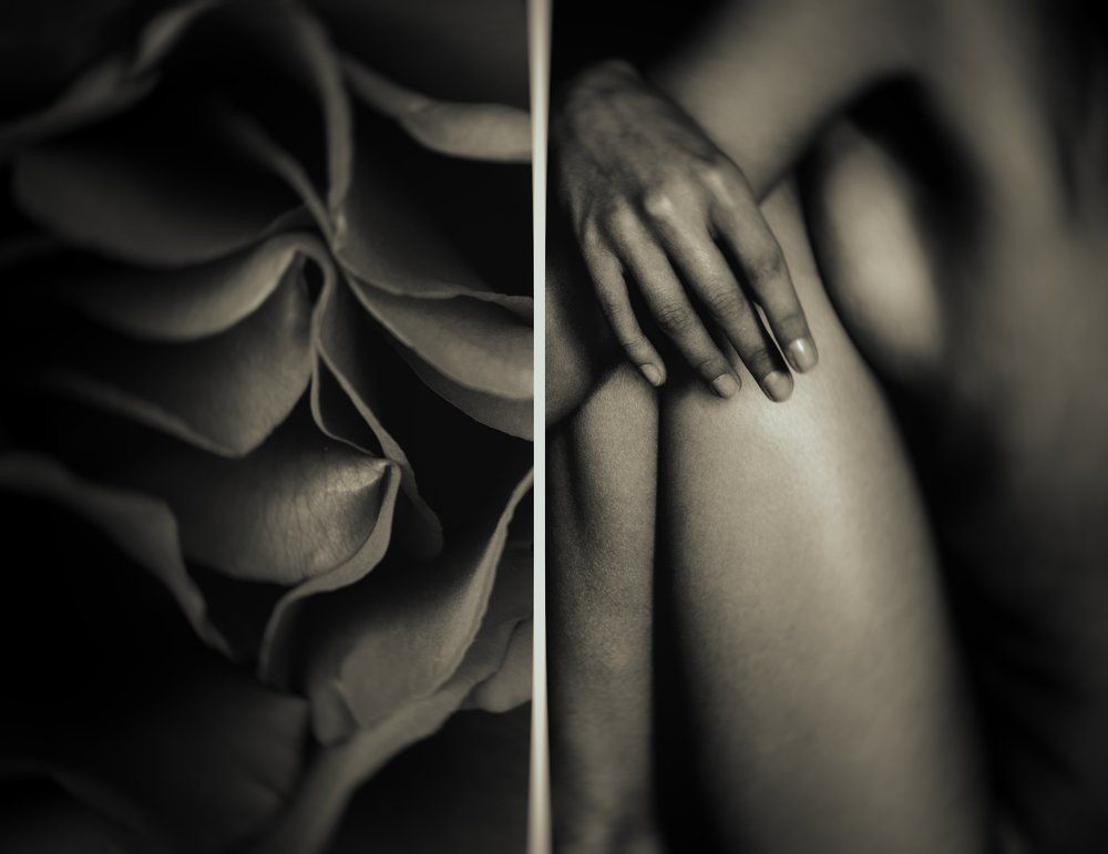 Photograph by Anastasia Ellerman