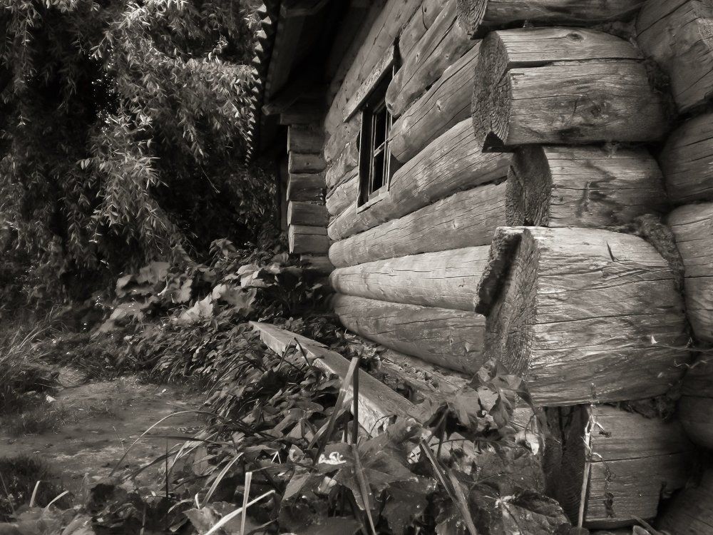 Старый сруб