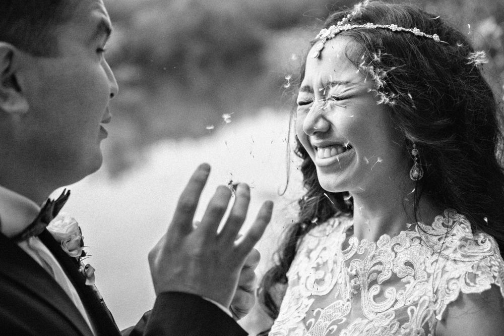 Одуванчиковое счастье