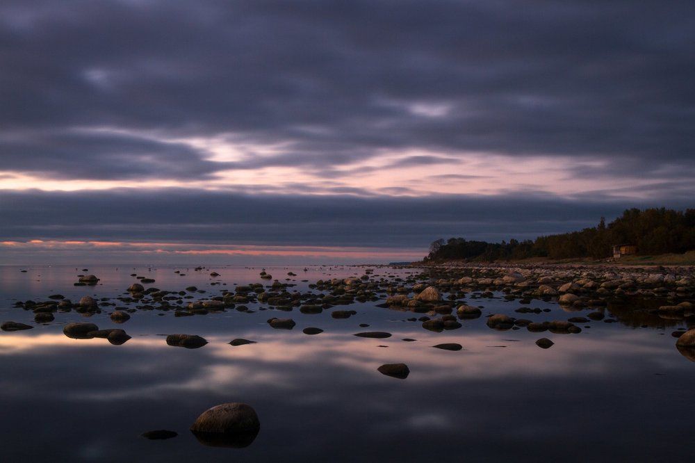 Photograph by Eriks Zilbalodis