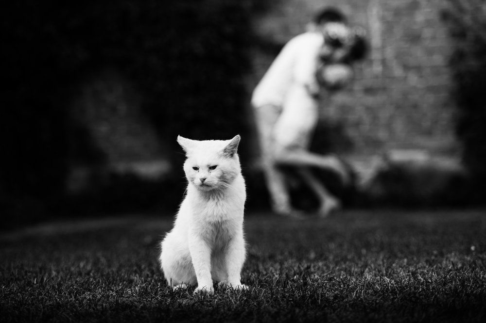 Где мои 17 лет?