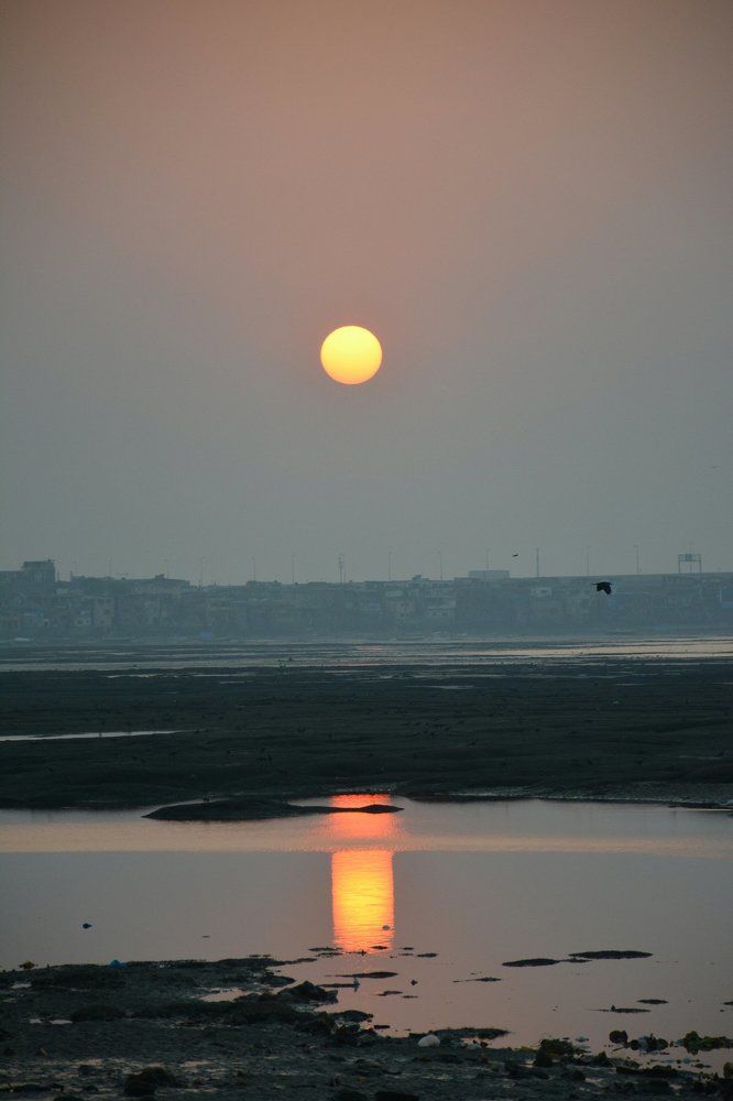 Beautiful Sunset