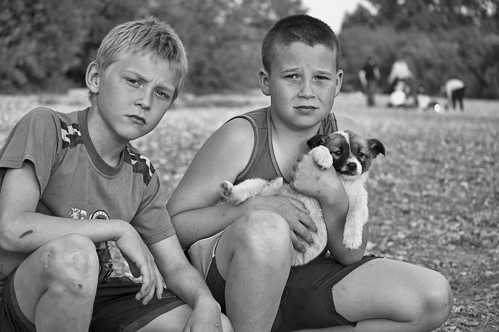 Спасение щенка