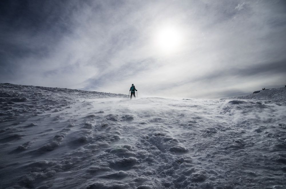 Путешественница