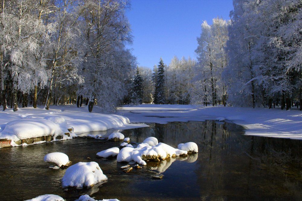 Зимняя сказка.