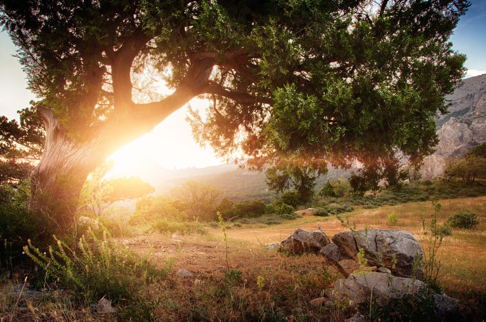 Sunrise in Foros. Crimea. Ukraine