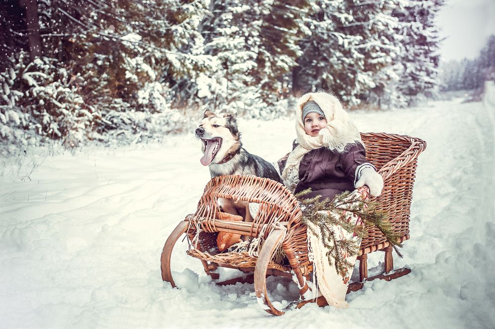 Зимняя сказка