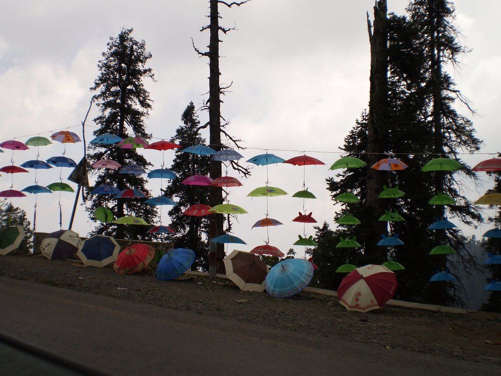 muree