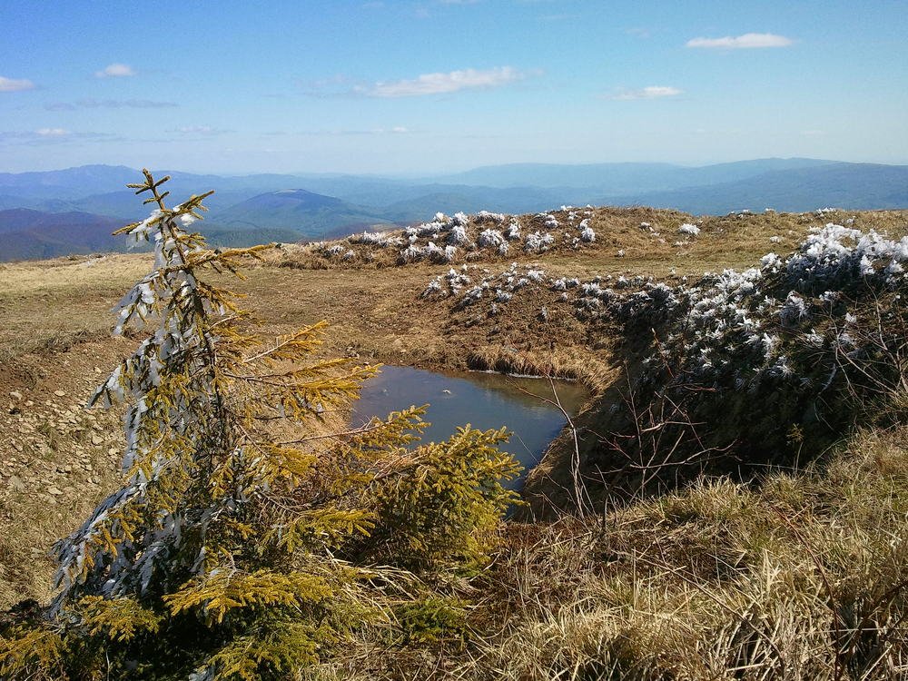Mountains in spring