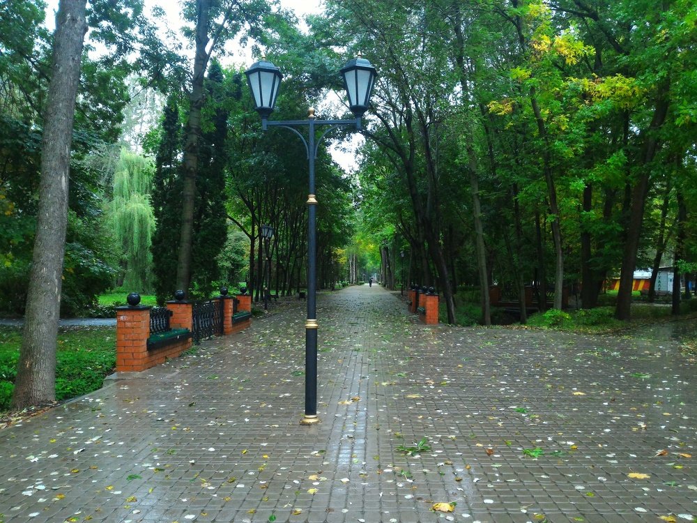 Утро, улица, фонарь...