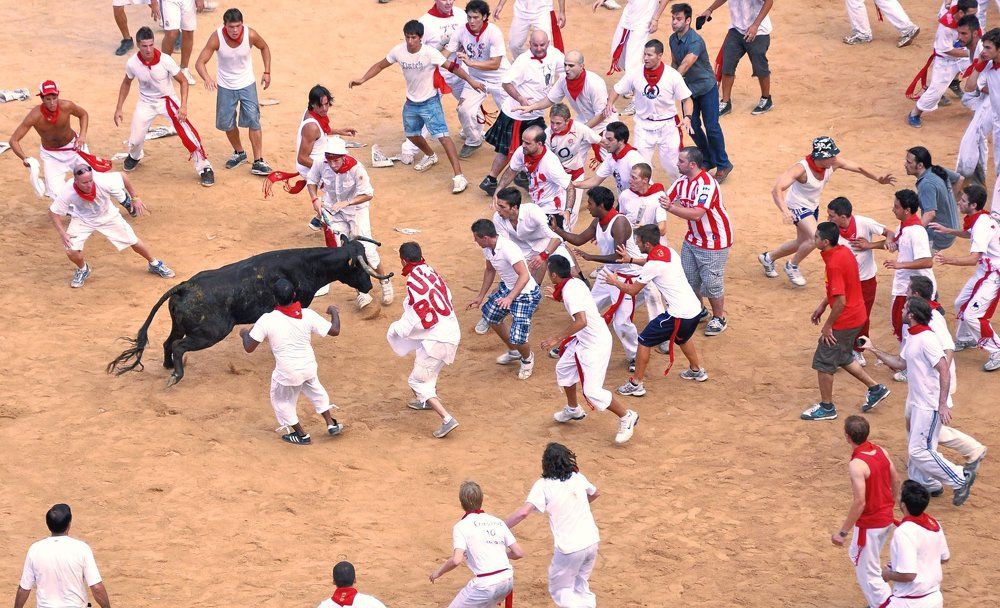 Безумству храбрых...