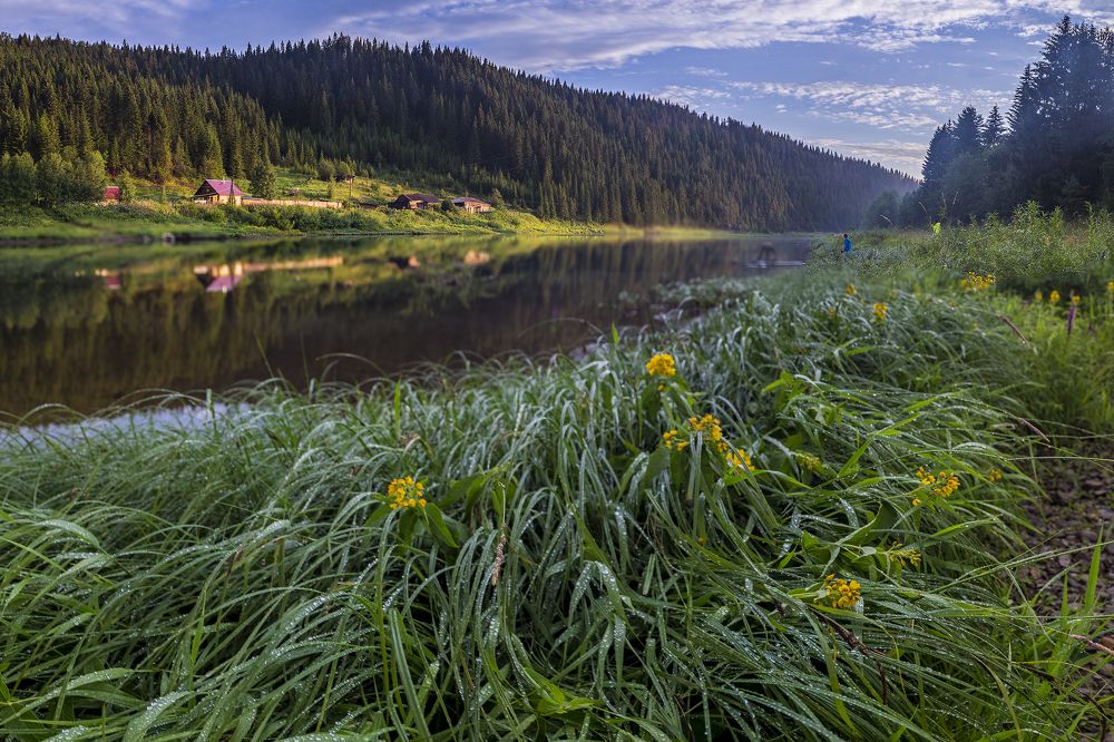 Вечерняя свежесть