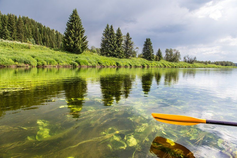 Скользим по зеленой реке