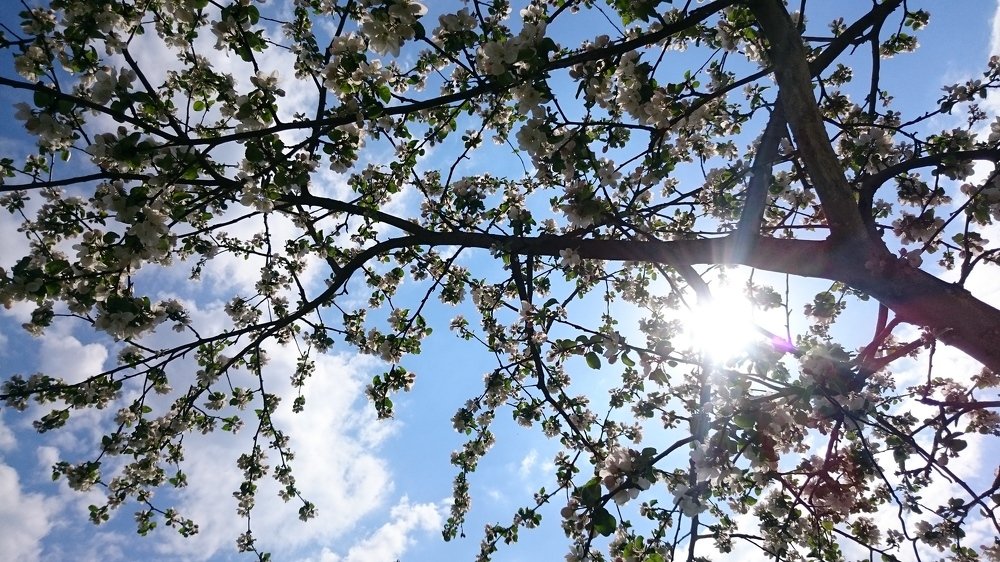 Photograph by Наталья Комарова