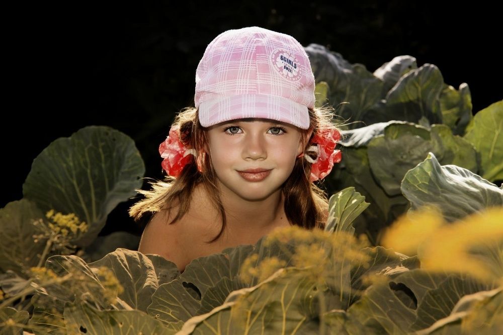 Капустница