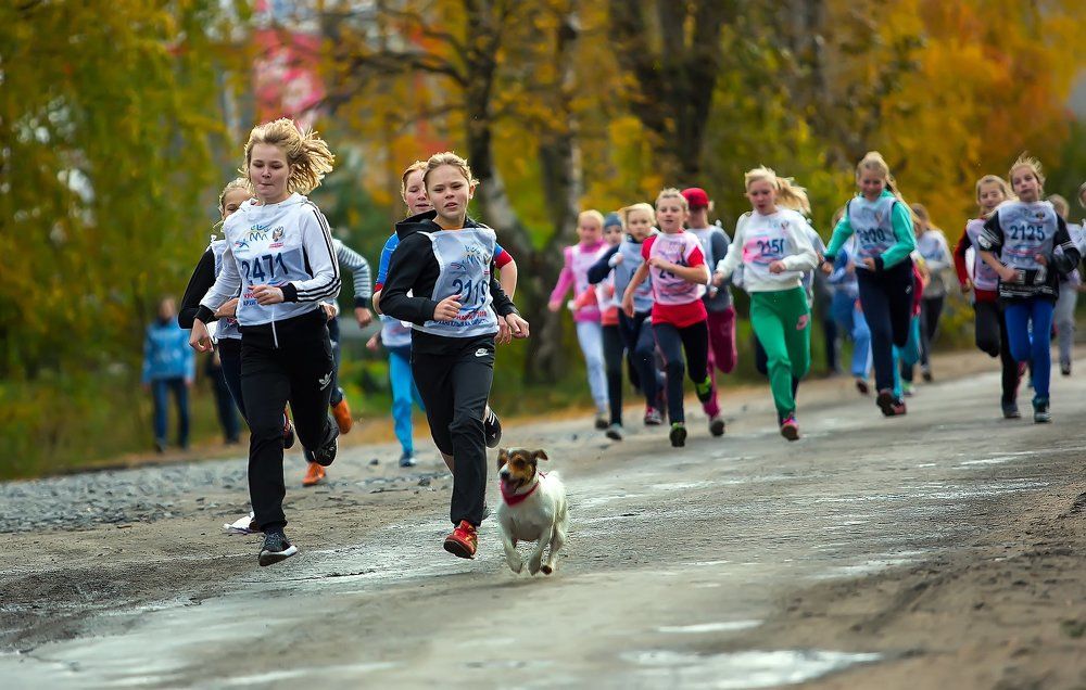 Кросс Нации - 2016