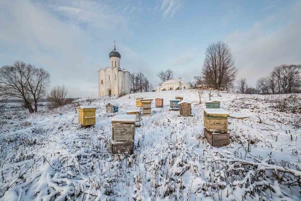 ноябрь в Боголюбово