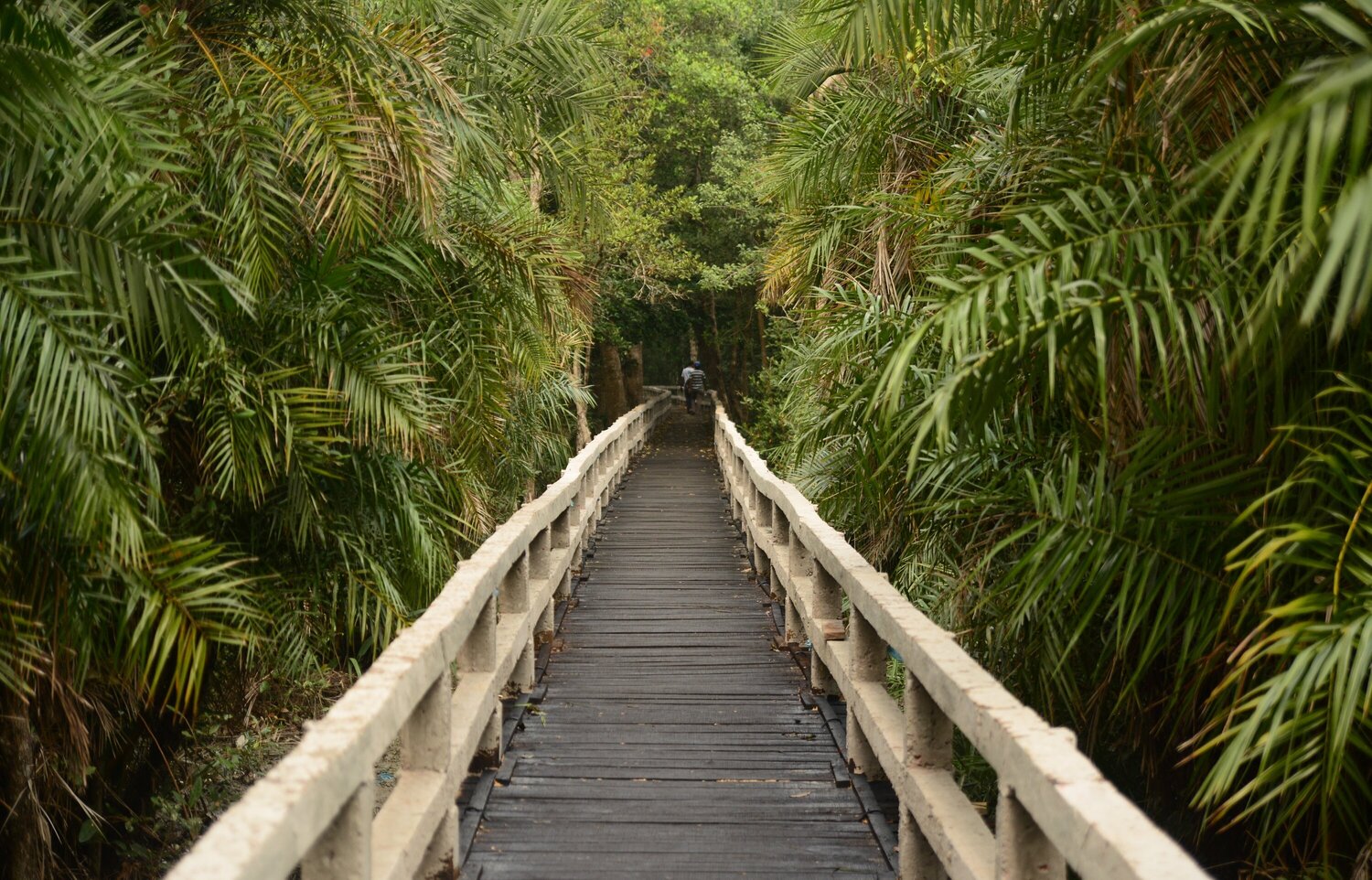 Wooden bridge