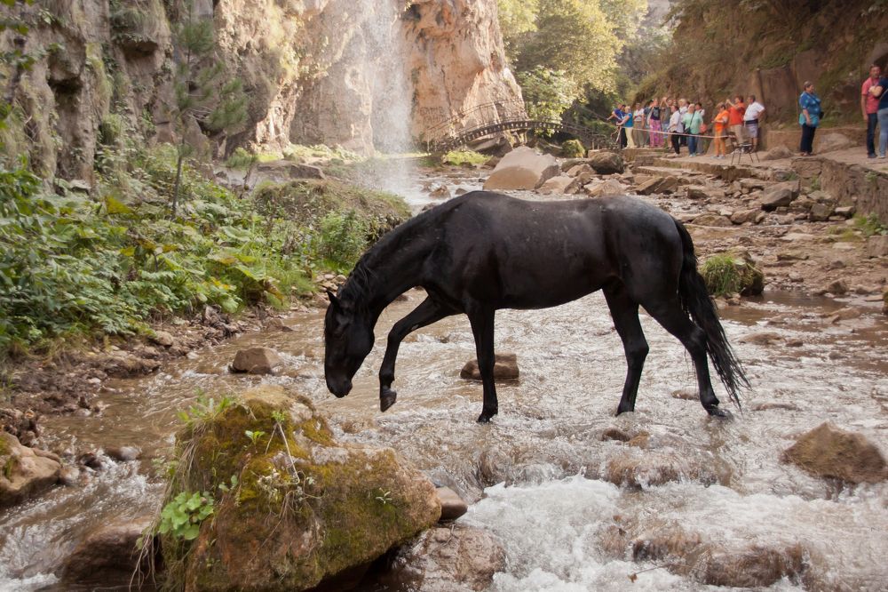 Photograph by Зарина Магкеева