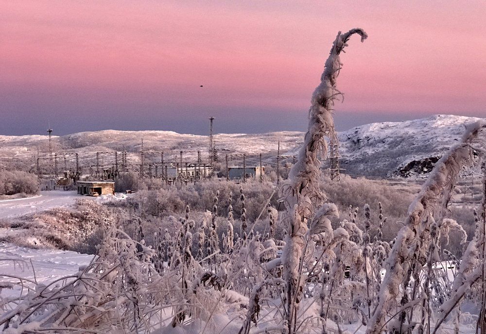 Мороз и солнце