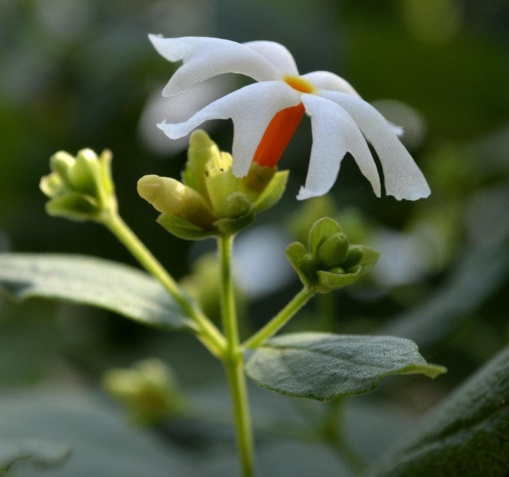 happyness.....................