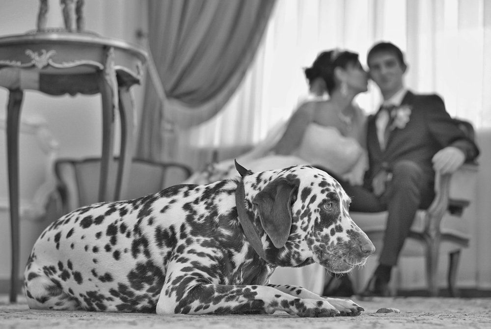 А как же я?..