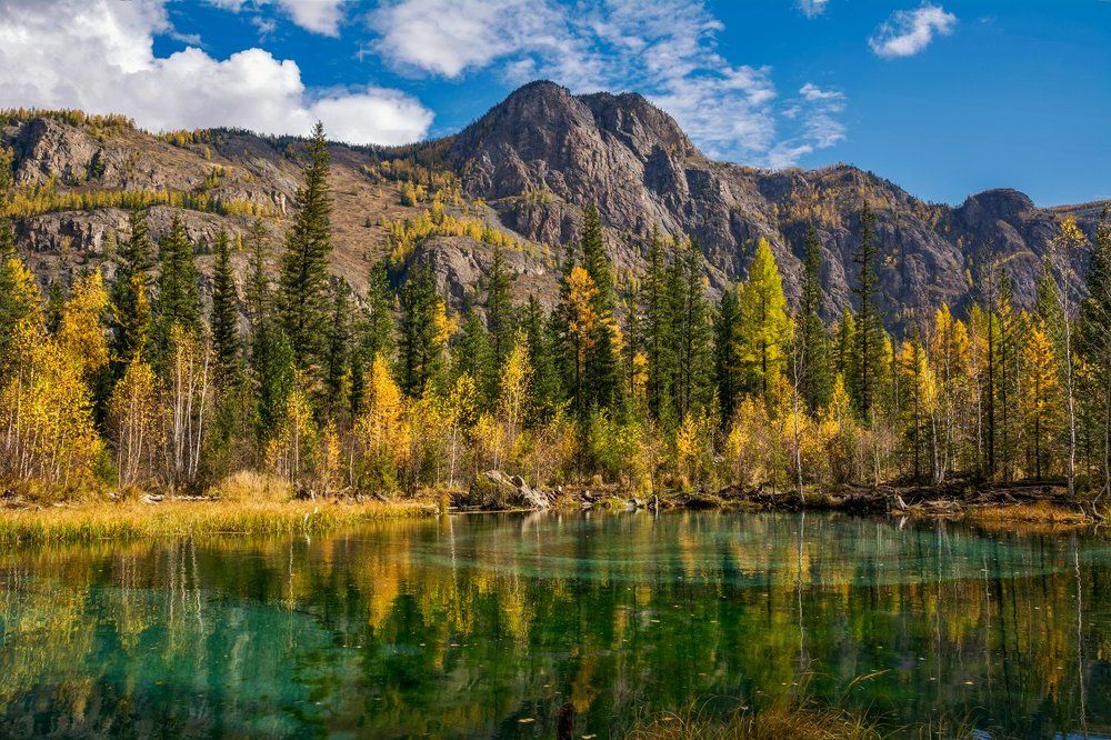 Рисунки на воде...