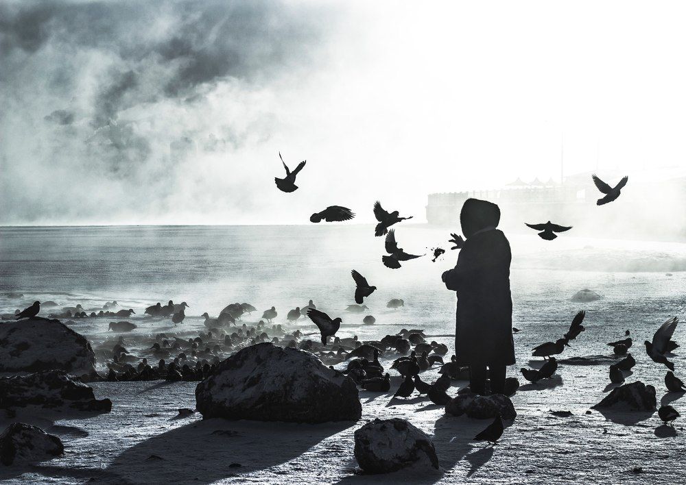 Женщина и птицы