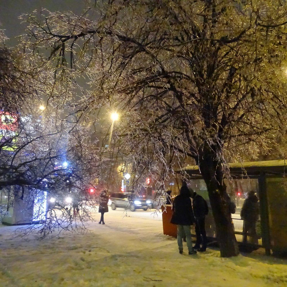 Ледяной дождь в Тушино (Москва).11 ноября 2016.
