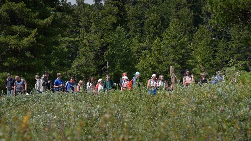 В очередь за грибами