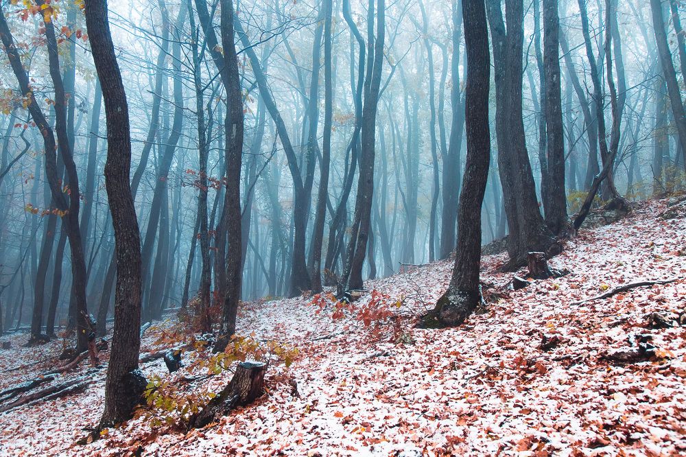 Осень против зимы