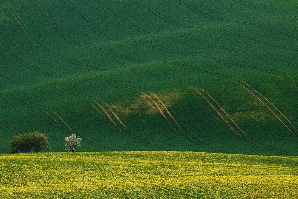 Моравские волны