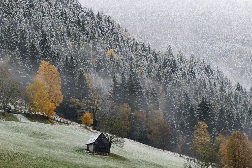 Первый снег