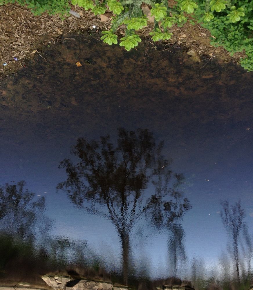 Immersed