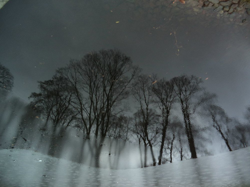 Photograph by Андрей Морозов