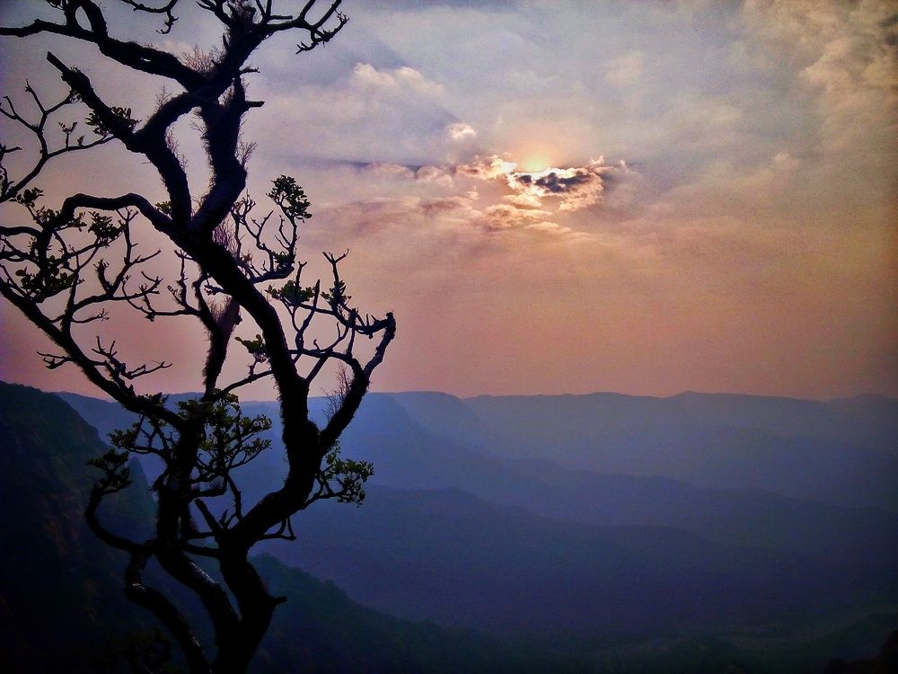 Pre sunset nature painting .