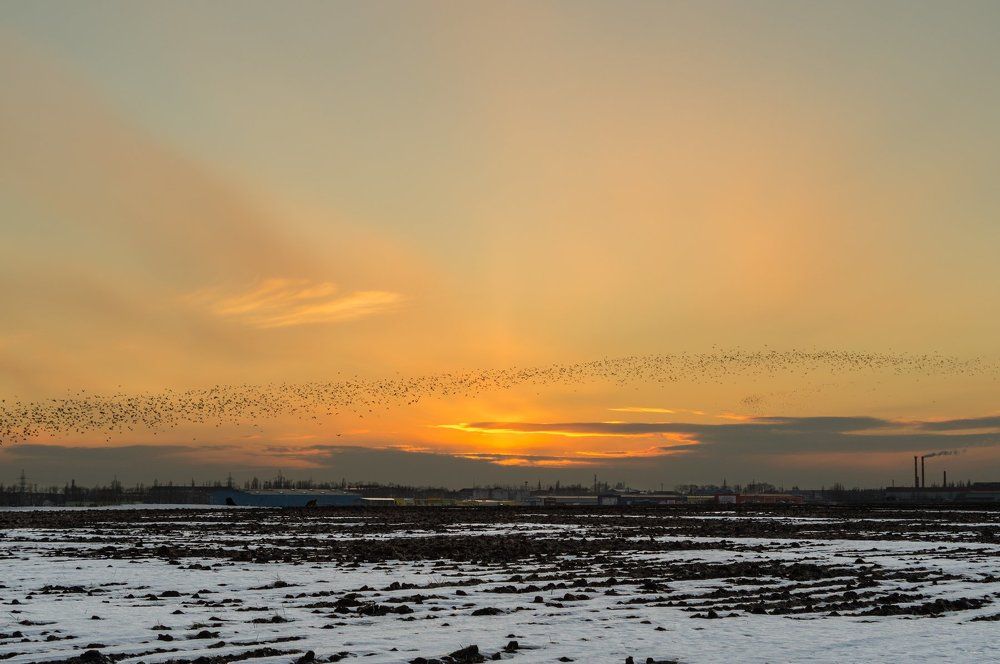 Весенний закат