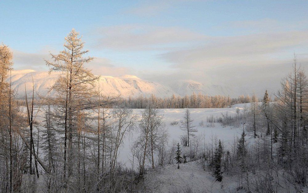 И снова зима