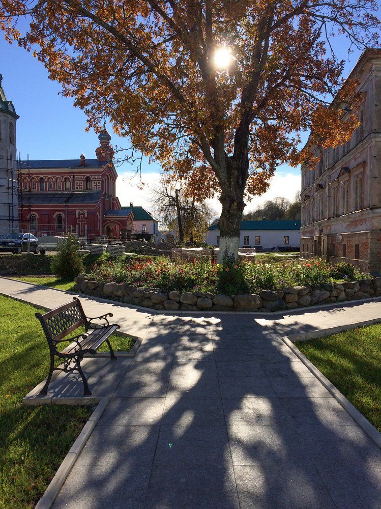 Maple Monastery / Монастырский клён