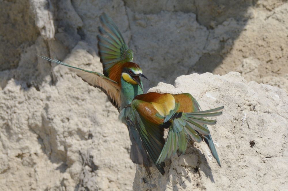 Photograph by MIKHAIL KALAGIN